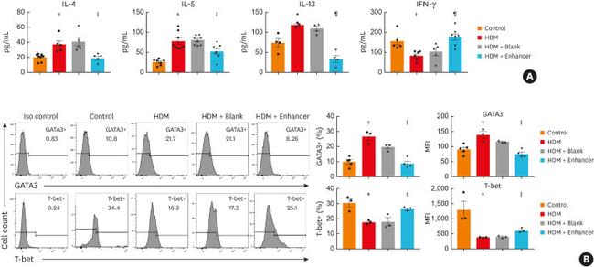 T-bet Antibody in Flow Cytometry (Flow)