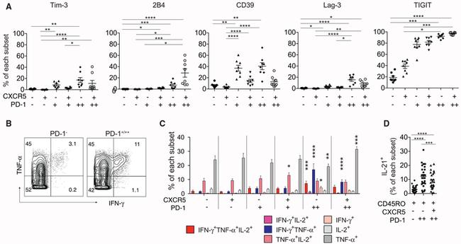 CD366 (TIM3) Antibody in Flow Cytometry (Flow)