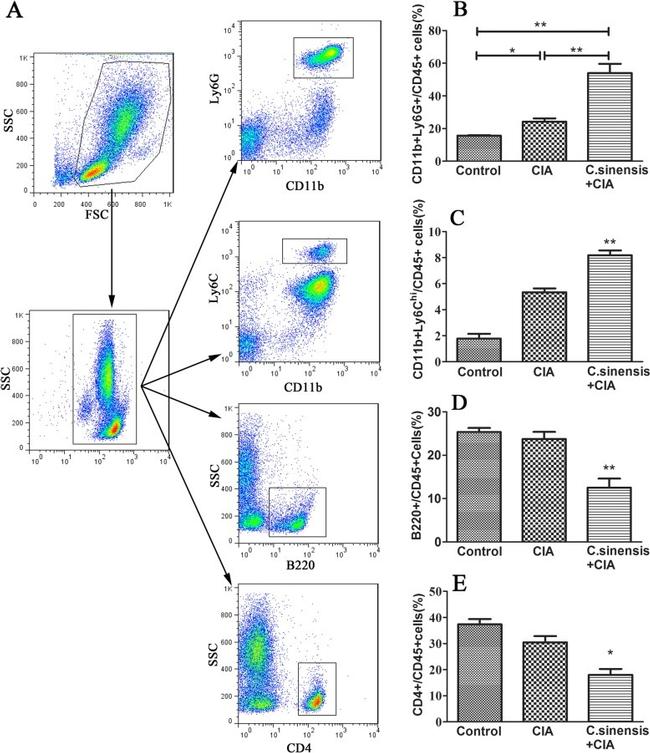 Ly-6C Antibody in Flow Cytometry (Flow)