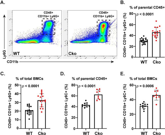 Ly-6C Antibody in Flow Cytometry (Flow)