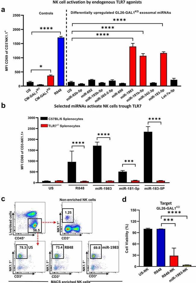 NK1.1 Antibody in Flow Cytometry (Flow)