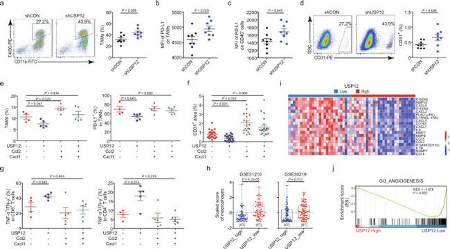 CD274 (PD-L1, B7-H1) Antibody in Flow Cytometry (Flow)