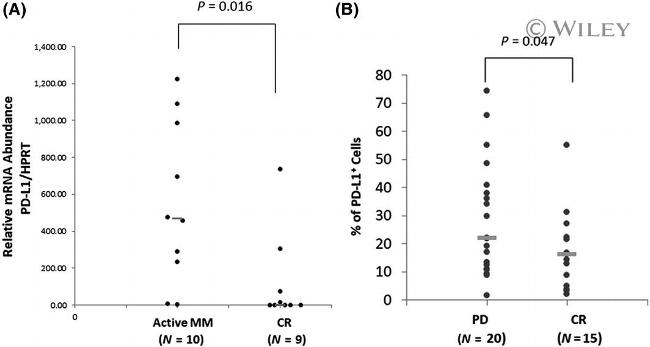 CD274 (PD-L1, B7-H1) Antibody in Flow Cytometry (Flow)