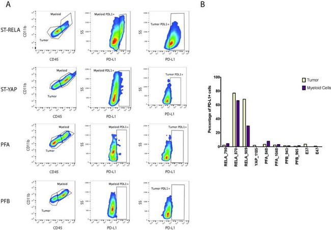 CD274 (PD-L1, B7-H1) Antibody in Flow Cytometry (Flow)