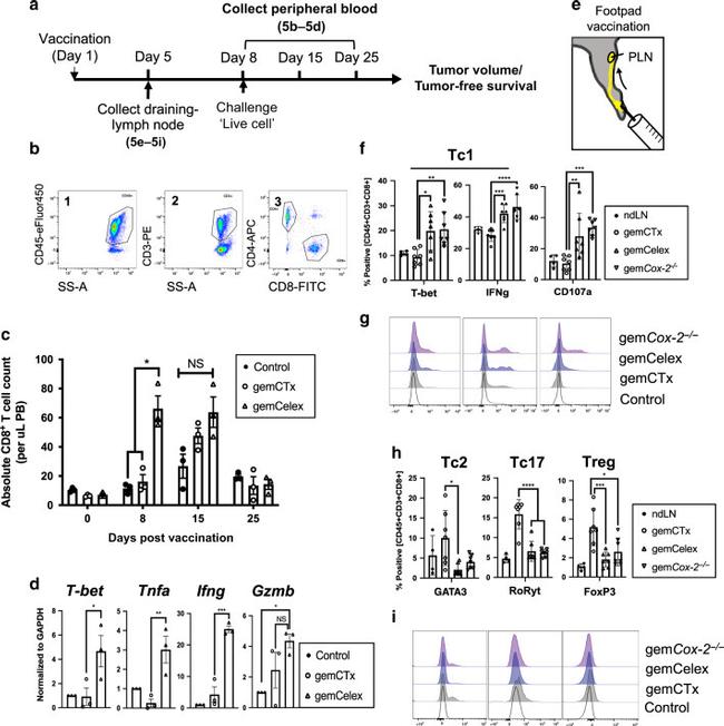 ROR gamma (t) Antibody in Flow Cytometry (Flow)