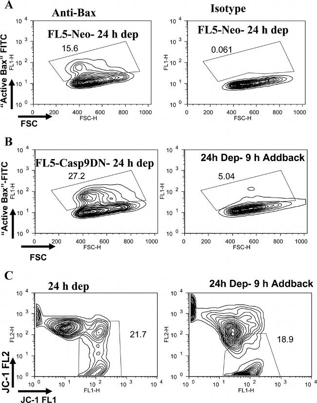 Bax Antibody in Flow Cytometry (Flow)