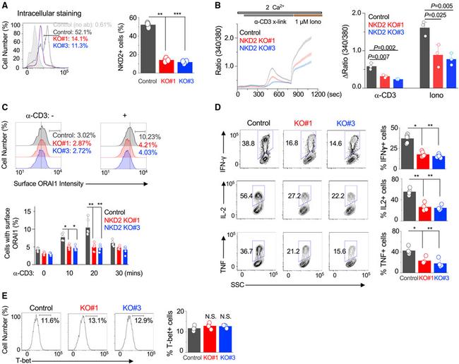 TNF alpha Antibody in Flow Cytometry (Flow)