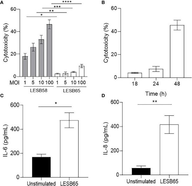 IL-8 (CXCL8) Antibody in ELISA (ELISA)