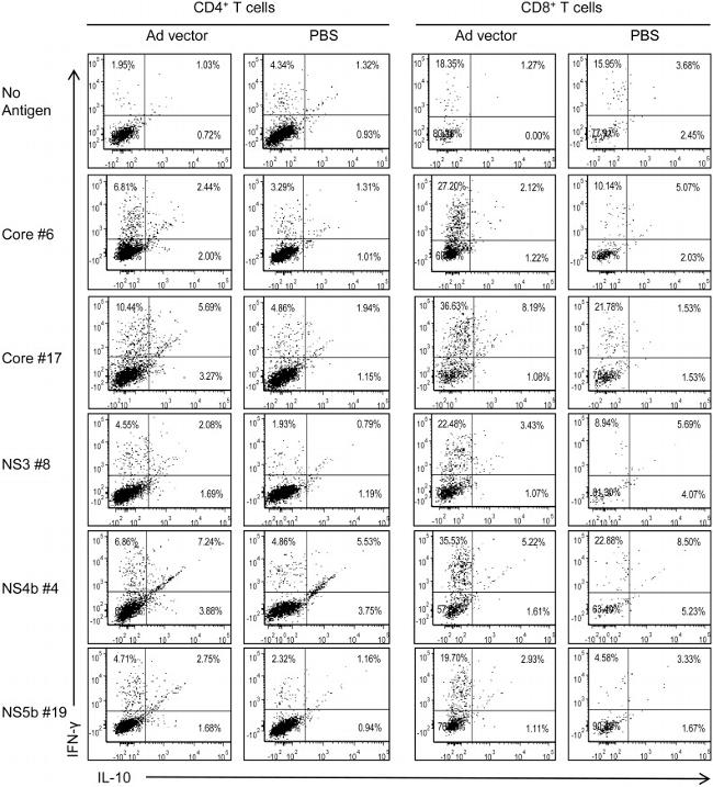 IL-10 Antibody in Flow Cytometry (Flow)