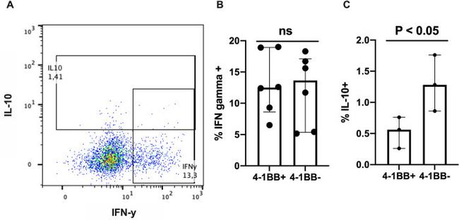 IL-10 Antibody in Flow Cytometry (Flow)