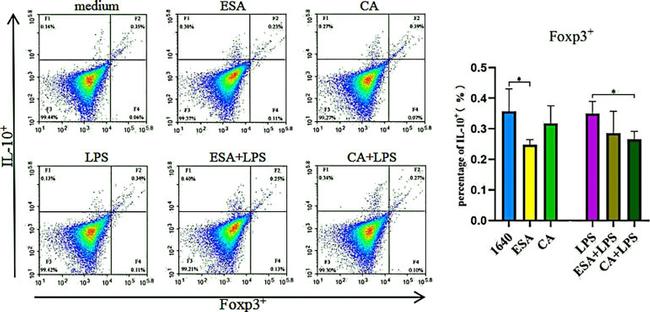 IL-10 Antibody in Flow Cytometry (Flow)