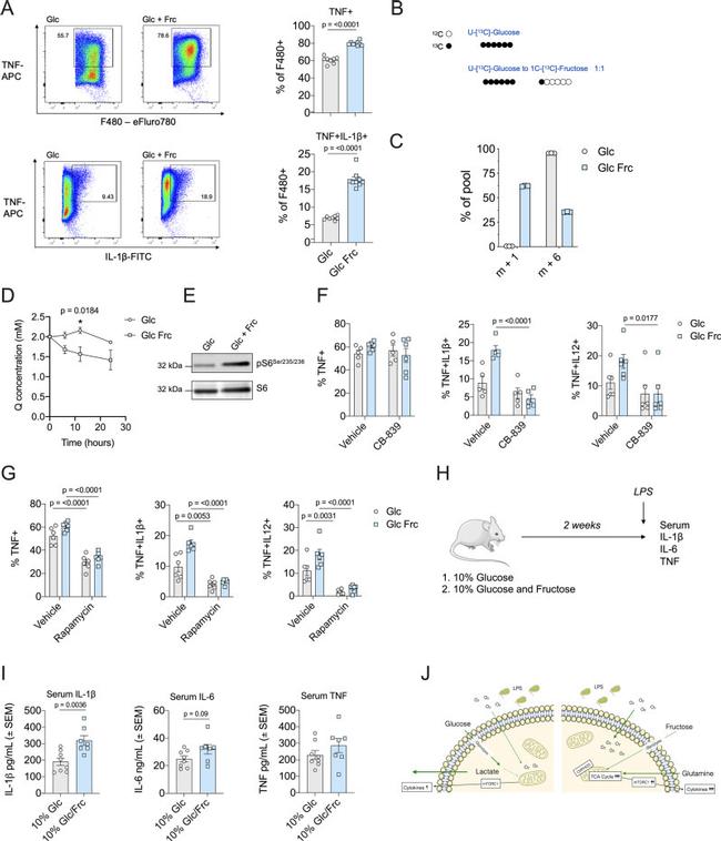 IL-1 beta (Pro-form) Antibody in Flow Cytometry (Flow)