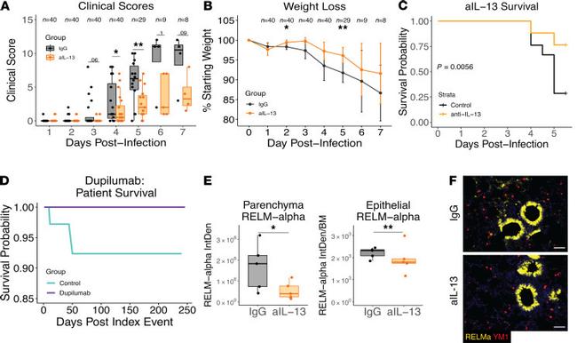 IL-13 Antibody in Neutralization (Neu)