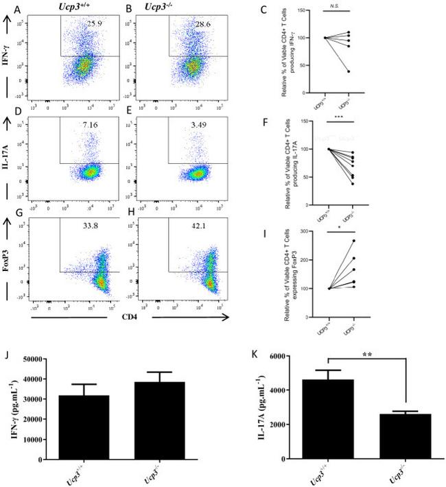 IL-17A Antibody in Flow Cytometry (Flow)