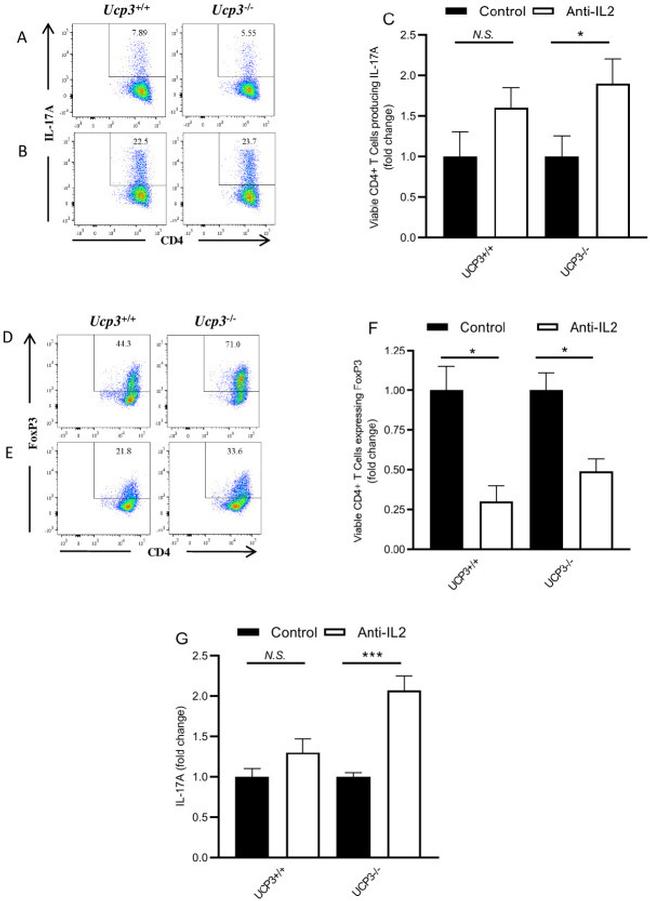 IL-17A Antibody in Flow Cytometry (Flow)