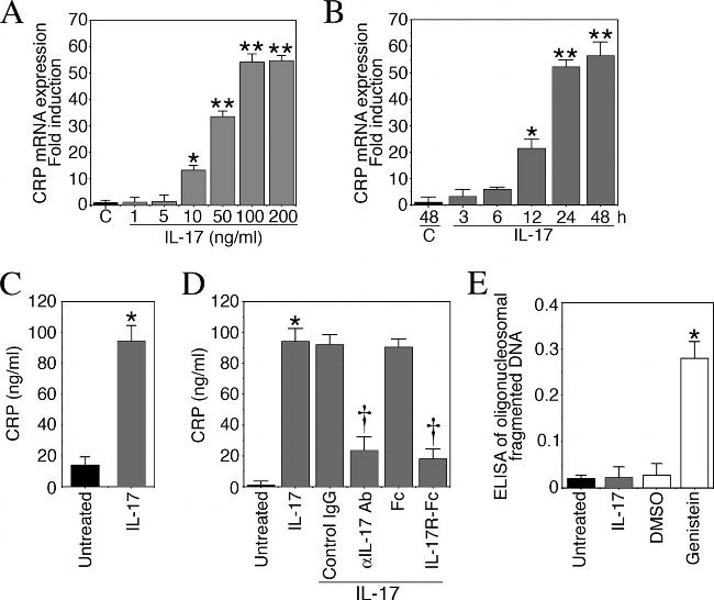 IL-17A Antibody in Neutralization (Neu)