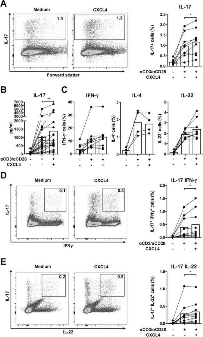 IL-17A Antibody in Flow Cytometry (Flow)