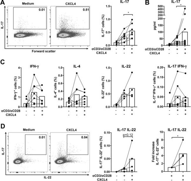 IFN gamma Antibody in Flow Cytometry (Flow)