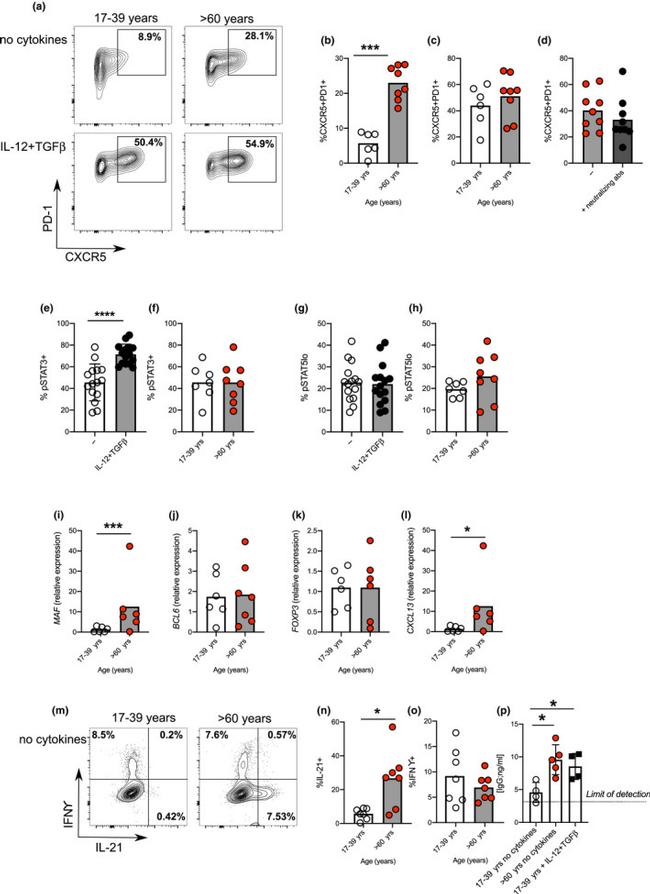 IL-21 Antibody in Flow Cytometry (Flow)