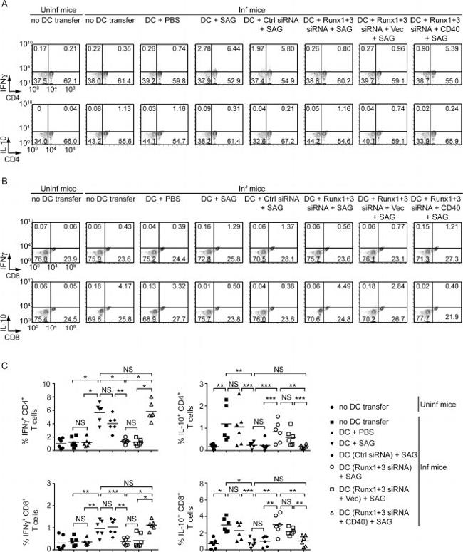 CD4 Antibody in Flow Cytometry (Flow)