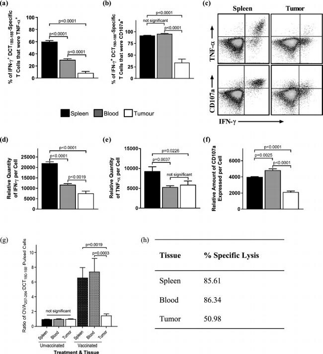 TNF alpha Antibody in Flow Cytometry (Flow)