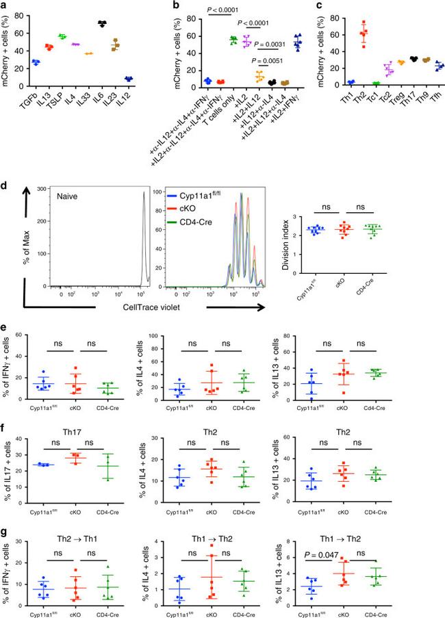 IFN gamma Antibody in Flow Cytometry (Flow)