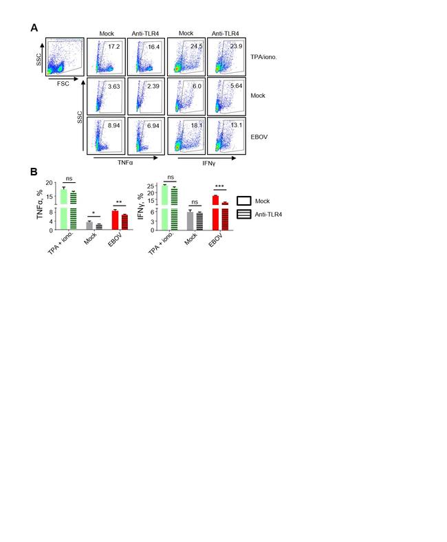 IFN gamma Antibody in Flow Cytometry (Flow)