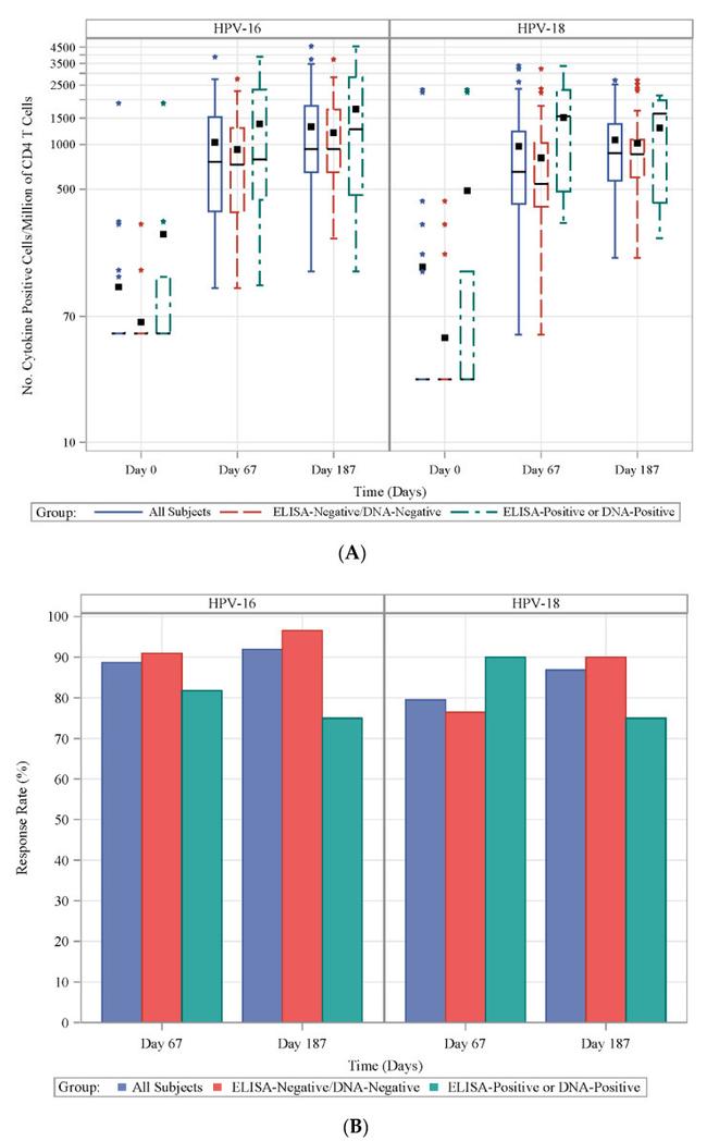 IFN gamma Antibody in Flow Cytometry (Flow)