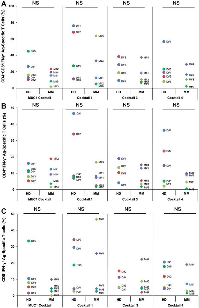 IFN gamma Antibody in Flow Cytometry (Flow)