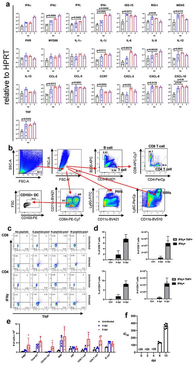 TNF alpha Antibody in Flow Cytometry (Flow)