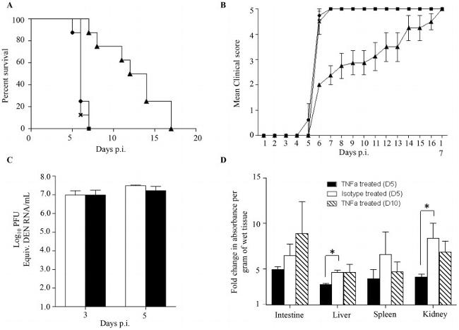 TNF alpha Antibody in Neutralization (Neu)