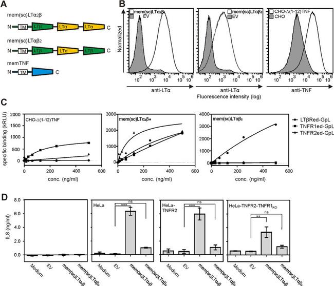 TNF alpha Antibody in Flow Cytometry (Flow)