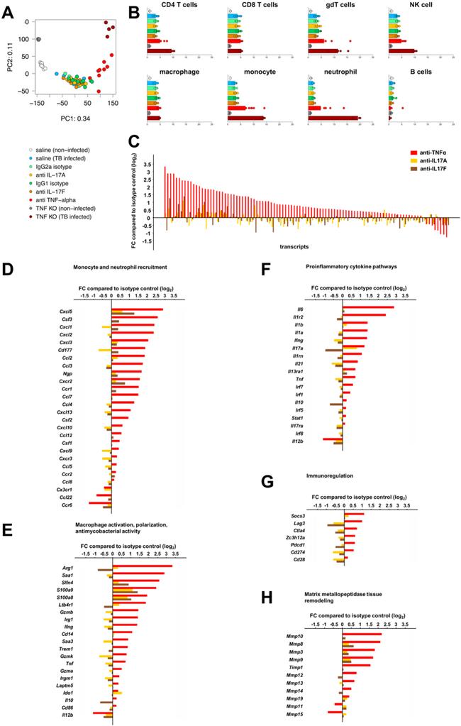 IL-17F Antibody in Neutralization (Neu)