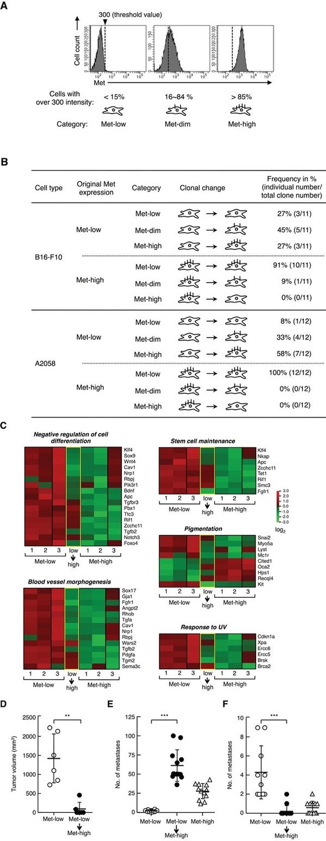 c-Met Antibody in Flow Cytometry (Flow)