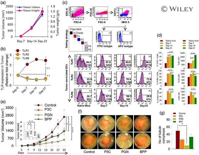 CD281 (TLR1) Antibody in Flow Cytometry (Flow)