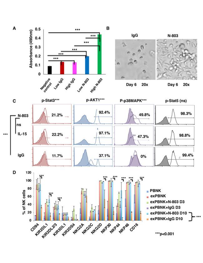 Phospho-STAT3 (Tyr705) Antibody in Flow Cytometry (Flow)