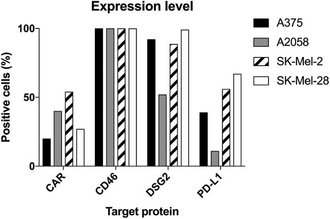 Desmoglein 2 Antibody in Flow Cytometry (Flow)