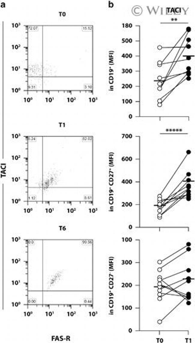 CD267 (TACI) Antibody in Flow Cytometry (Flow)