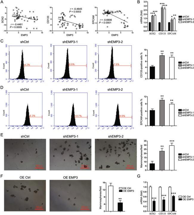 CD326 (EpCAM) Antibody in Flow Cytometry (Flow)