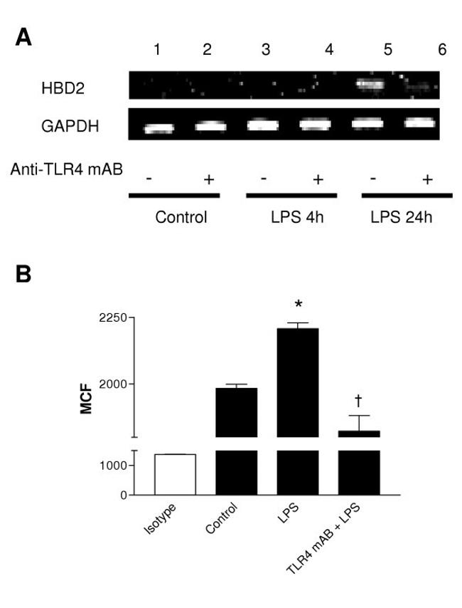 CD284 (TLR4) Antibody in Neutralization (Neu)