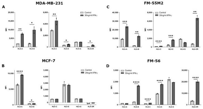 HLA-DR Antibody in Flow Cytometry (Flow)