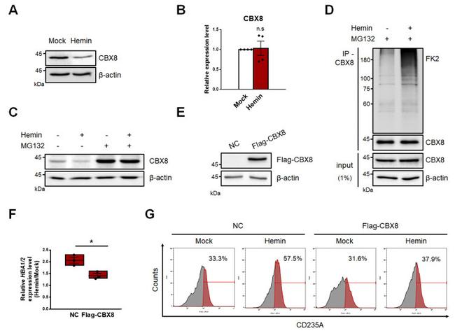 CD235a (Glycophorin A) Antibody in Flow Cytometry (Flow)