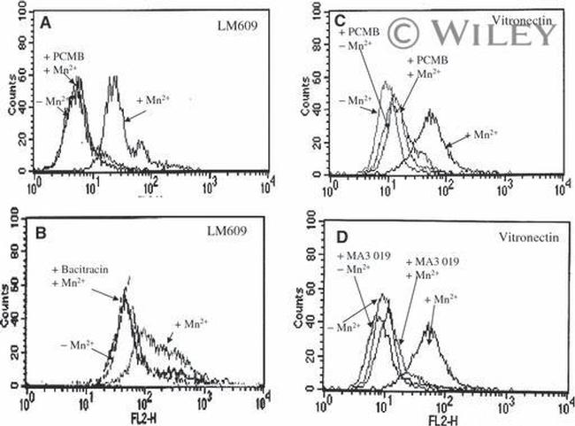 PDI Antibody in Neutralization (Neu)