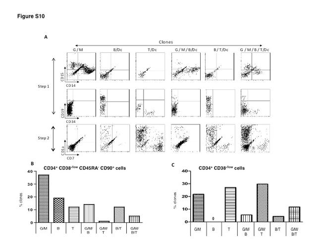 CD34 Antibody in Flow Cytometry (Flow)