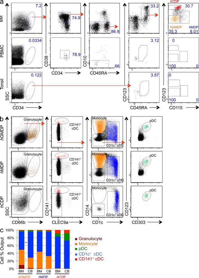 CD34 Antibody in Flow Cytometry (Flow)