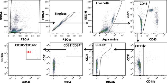 CD45 Antibody in Flow Cytometry (Flow)