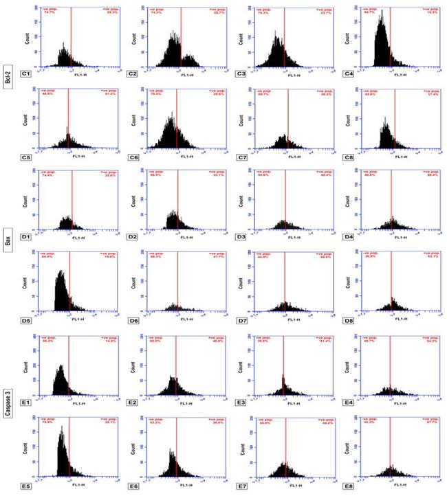 Bax Antibody in Flow Cytometry (Flow)