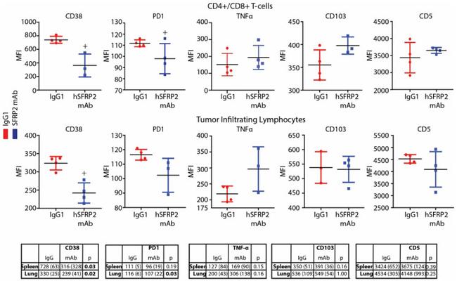 CD38 Antibody in Flow Cytometry (Flow)