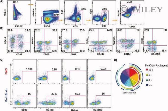 CD39 Antibody in Flow Cytometry (Flow)