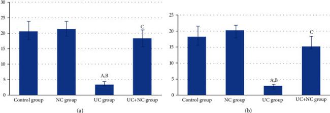 Vimentin Antibody in Immunohistochemistry (IHC)